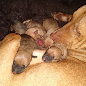 Meet your Posher, Eugene